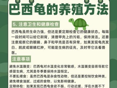探秘巴西龟的长寿奥秘（揭开巴西龟长寿的秘密，寿命能达到30年左右）