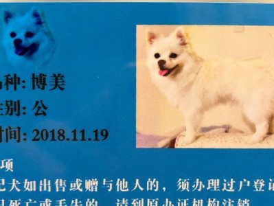 养狗需办理的手续与注意事项（详解养狗所需的法律手续和实用建议）