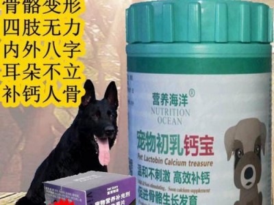 狗耳朵为什么竖不起来？（探究狗耳朵无法竖起来的原因及解释）