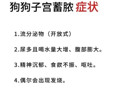 狗子宫疾病（探索狗子宫疾病的种类、症状和治疗方法）
