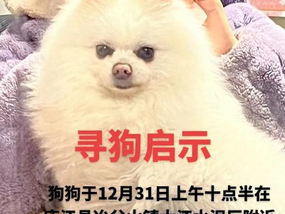 《萌萌哒女狗狗的十五个好听名字》（为你的女狗狗起个与众不同的名字吧！）