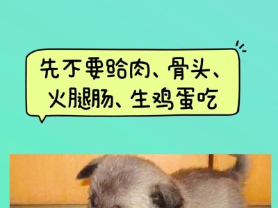 小狗满月了，该如何科学喂养？