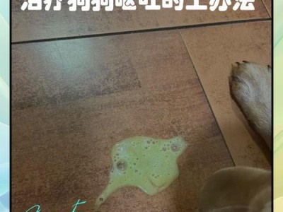 狗狗吐了，该怎么办？（掌握不同情况下狗狗呕吐的处理方法）