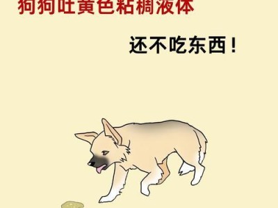 狗狗吐黄水的原因和应对措施（了解狗吐黄水的问题及如何正确处理）