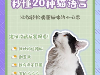 猫咪摇尾巴（了解猫咪心情）