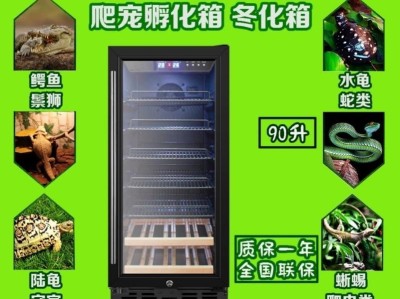 乌龟蛋的孵化方式（多种方法帮助乌龟蛋成功孵化）