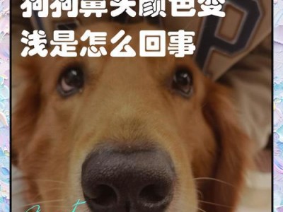 狗狗为什么会有不黑的鼻头？（探究狗狗鼻头颜色的原因与影响）