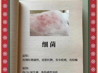 探究狗狗为何易患指尖炎（了解狗狗指尖炎的原因和预防方法）