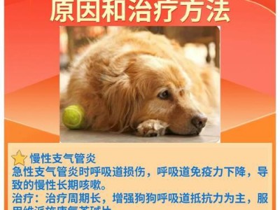 狗狗咳嗽的治疗方法及药物选择（了解狗狗咳嗽的原因，选择合适的药物帮助恢复健康）