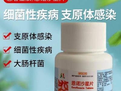 狗狗拉肚子又吐，怎么办？（了解狗狗的饮食习惯，提供正确的护理方法）