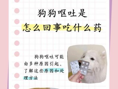 狗狗不吃饭怎么办？寻找解决方法（探索狗狗食欲不振的原因及解决办法）