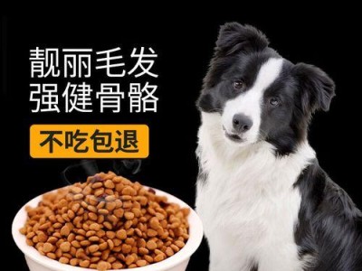 边牧狗狗的饮食需求（每日狗粮摄入量和喂食次数的重要性）