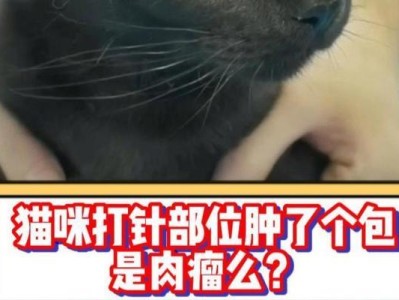 猫咪打针的重要性及最佳时机选择（保护猫咪健康的必要措施与策略）