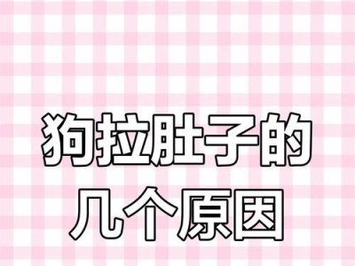 狗狗拉稀的常见原因及解决办法（了解拉稀的原因，保护你的爱犬健康）