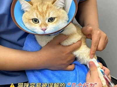 揭开谣言（保护毛孩健康的关键在于正确接种疫苗）