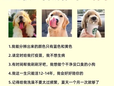 探究金毛为何颜色不一样（金毛狗毛色的多样性及遗传原因）