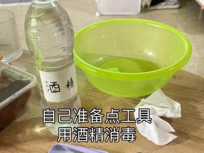 以边牧生小狗的症状及应对方法（了解和应对以边牧生小狗的常见症状，让你的宠物健康快乐）