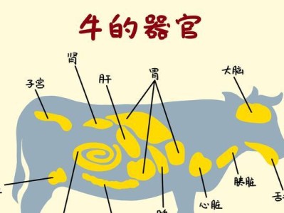 狗狗的饮食计划（如何判断狗狗是否吃饱？饱足感指标是什么？）