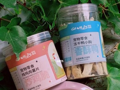 小猫换牙期间的合理饮食安排（宠物猫换牙期间的饮食要点及注意事项）