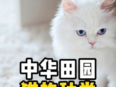 田园猫与品种猫的差异（探寻宠物猫的多样性与特点）