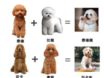 狗狗剖腹产对它们身体有害吗？（揭开狗狗剖腹产的真相，了解不同犬种的生产方式）