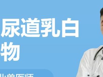 猫咪尿道疾病的原因和区别（揭秘猫咪患上尿道炎和膀胱炎的根源与区别）