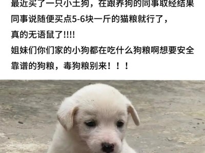 狗子肾不好吃什么狗粮？（为保护狗子健康，选择合适的狗粮至关重要）