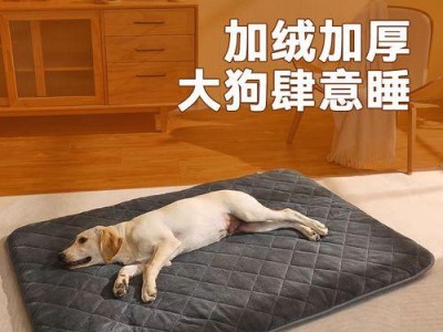 冬天宠物保暖指南（如何给宠物提供温暖的冬季生活）