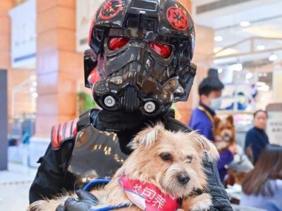2022年上海狗展盛大开幕（欢迎观赏各类犬种，感受爱与忠诚）