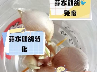 鸽子的水换新频率研究（饮水环境对鸽子健康的影响及优化方案）