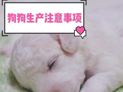 狗刚排完应注意的事项（细致呵护，守护狗狗健康）
