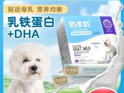 比熊需要什么食物来补充蛋白质？（为您详细解析比熊需要的蛋白质来源及食物推荐）