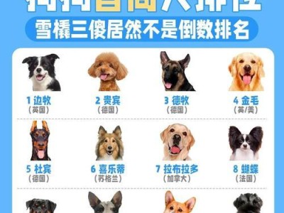 如何训练你的萨摩耶犬成为听话的宠物（注意事项、方法和技巧让你的萨摩耶犬成为顺从可爱的伙伴）