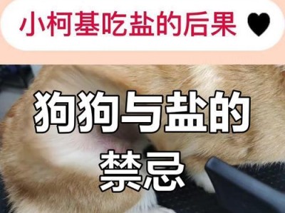 狗狗吃咸了需要多久才能好？（了解狗狗食用过咸食的影响和康复时间）