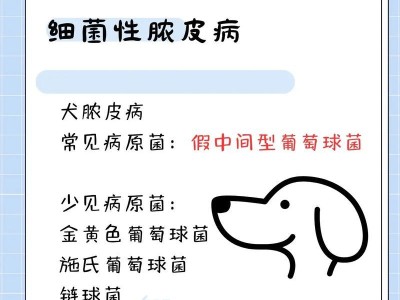 探究狗狗皮肤病的成因与治疗方法（深入了解狗狗皮肤病的常见原因及有效的治疗方法）