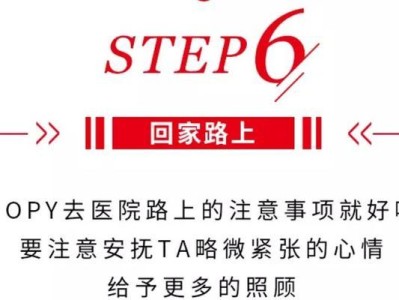 戴猫圈的好处与必要性（宠物猫的健康保护与安全防范）