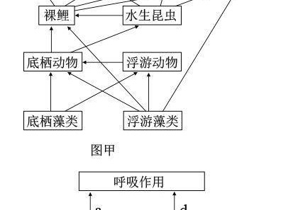 青海田鼠的饲养方法（建立适宜的生活环境与合理的饲养计划）