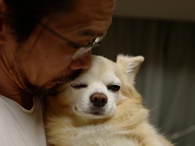 母犬产前产后护理指南（全面了解母犬的孕育过程及护理方法）
