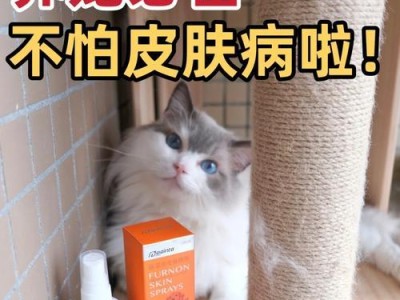 猫喷药后带头圈的持续时间与注意事项（了解猫喷药后带头圈的必要性以及使用时的注意事项）