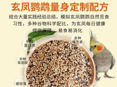 玄凤鹦鹉的饮食习性与饲养技巧（探究玄凤鹦鹉的食物喜好与健康饲养方法）