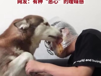 为什么不要剪狗狗的指甲？（探索剪指甲对狗狗的影响及替代方法）