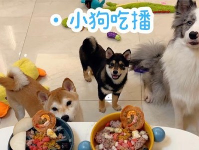 5个月大的狗狗的饮食需求（科学饲养，健康成长）