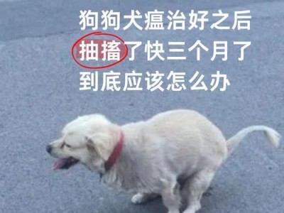 揭秘狗瘟（了解狗瘟，守护我们的毛茸好友）