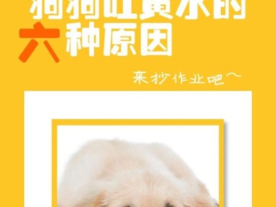 狗狗清水呕吐的原因及处理方法（了解狗狗清水呕吐的常见原因，为宠物健康保驾护航）