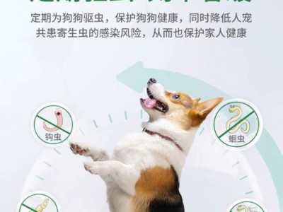宠物驱虫药（以宠物体内驱虫药有哪些？）