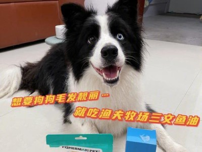 七种食物成为博美犬美毛剂的“秘密武器”（探寻能令博美犬毛发更亮丽的食物，赋予其靓丽毛发的关键）