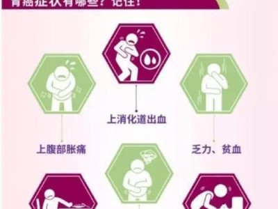 猫咪饮食习惯的变化及合适的进食频率（了解猫咪各个阶段的饮食需求，掌握科学喂养之道）