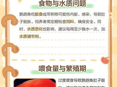 鹦鹉鱼的饮食需求及喂养频率（了解鹦鹉鱼的饮食习惯和健康喂养方法）