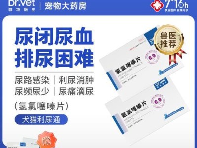 女狗狗尿道炎的治疗药物及注意事项（综合控制尿道炎症状，提高狗狗的生活质量）