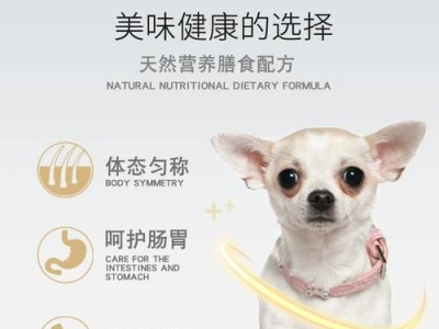 小鹿犬的价格及特点解析（纯种小鹿犬与吉娃娃的区别及选择指南）